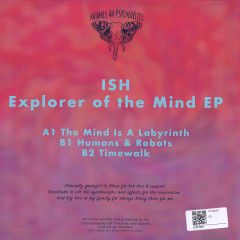 Explorer of the Mind EP