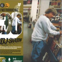 Endtroducing..... (LP 2x12")