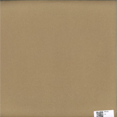 WE SLOWLY RIOT LP (2x12")