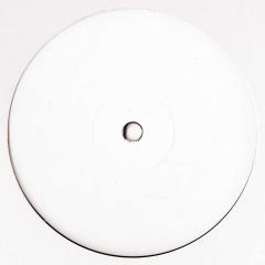 THE INTRODUCTION (PART II) LP