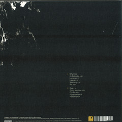 Biblo Absence C Sides Csides011lp Vinyl