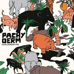 Pachyderm LP