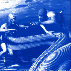Body Fluid
