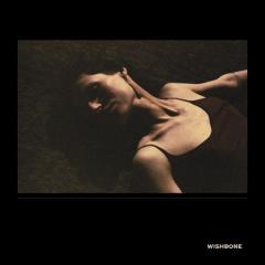 Wishbone LP