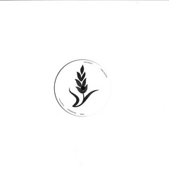 Pure Country Remix 12"