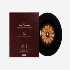 Casual Conversation / Flaws (7")