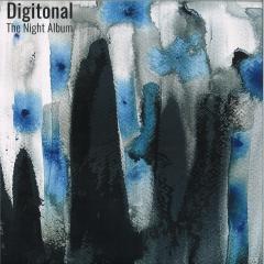 The Night Album LP