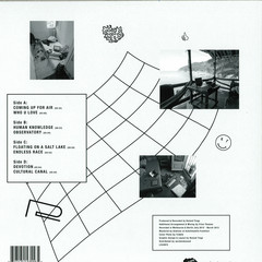 Roland Tings - The Album 2X12"