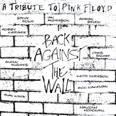 Back Against The Wall (A Tribute To Pink Floyd) LP (2x12")