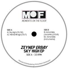 Sky High