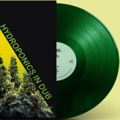Let the Light Shine LP