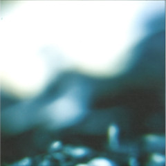 Fervent Dream 2x12"