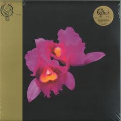 Orchid LP 2x12"