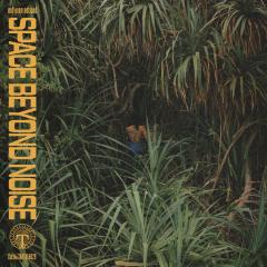 space beyond noise LP