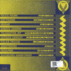 Deep Entries : Gay Electronic Excursions 1979-1985 (LP)