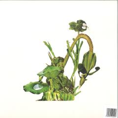 Música para Plátanos LP