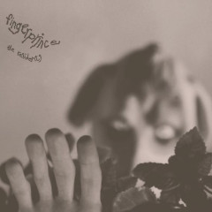 Fingerprince-Preserved Edition 2x12"