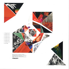 Visitors - Projections Lp