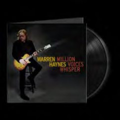 Million Voices Whisper LP 2x12"