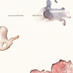 AM Reworks (10")