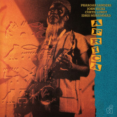 AFRICA LP (2x12")