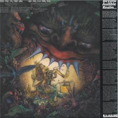 Ecophony Rinne LP