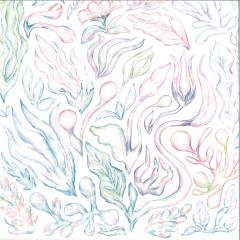 Plants Can Dance: Curated by Auntie Flo LP