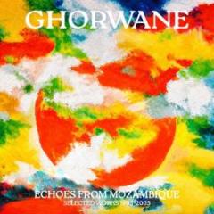 ECHOES FROM MOZAMBIQUE: SELECTED WORKS 1993 - 2005 LP 2x12"