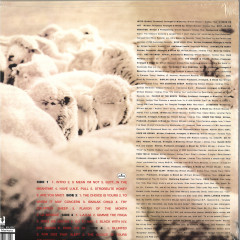 A Wolf In Sheep's Clothing