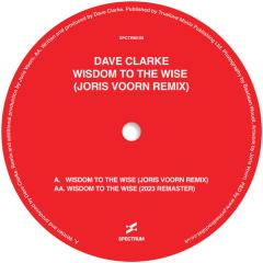 Wisdom To The Wise (Joris Voorn Remix)