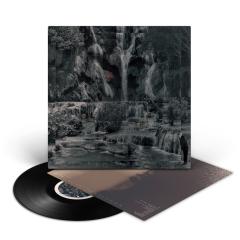 Punching The Clown LP