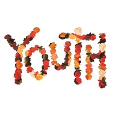 YOUTH (10TH ANNIVERSARY EDITION FLOWER PETAL VINYL)