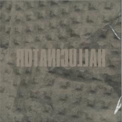 Landlocked (2x12")