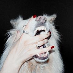 Hush LP