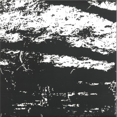 The Transformation Is Conforma