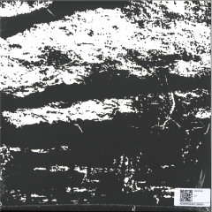 The Transformation Is Conforma