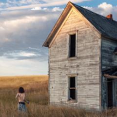 Census Designated (2x12")