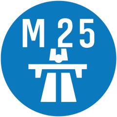 M25