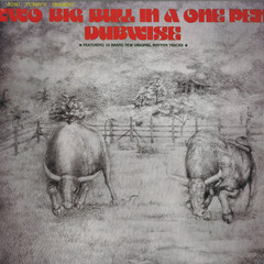 Two Big Bull In A One Pen (dubwise Versions)
