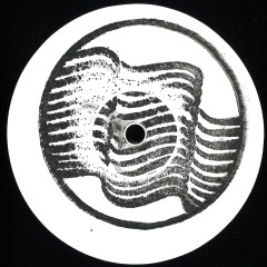 Rapid Remixes EP