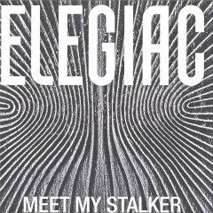 MEET MY STALKER