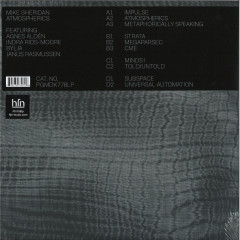 Atmospherics LP 2x12"