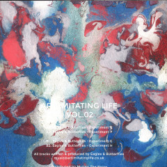 Art Imitating Life Vol. 2