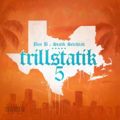 Trillstatik 5 (LP)