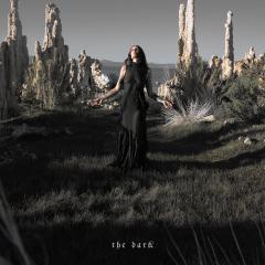 The Dark LP