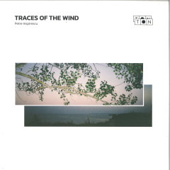 Traces of the wind 2x12"