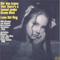 Did you know that there's a tunnel under Ocean Blvd LP 2x12"