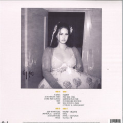 Did you know that there's a tunnel under Ocean Blvd LP 2x12"