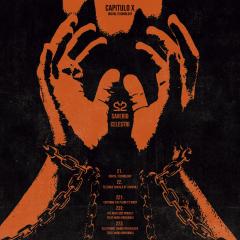 Capitulo X : "Digital Technology"