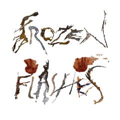Frozen Flashes
